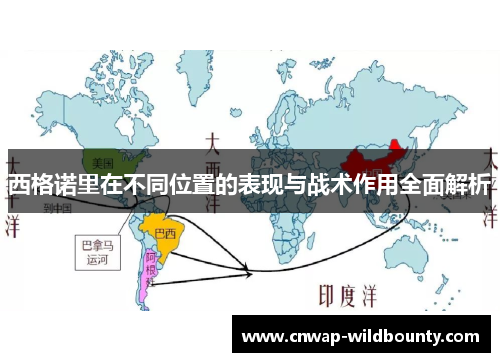 西格诺里在不同位置的表现与战术作用全面解析 西格诺里在不同位置的表现与战术作用全面解析